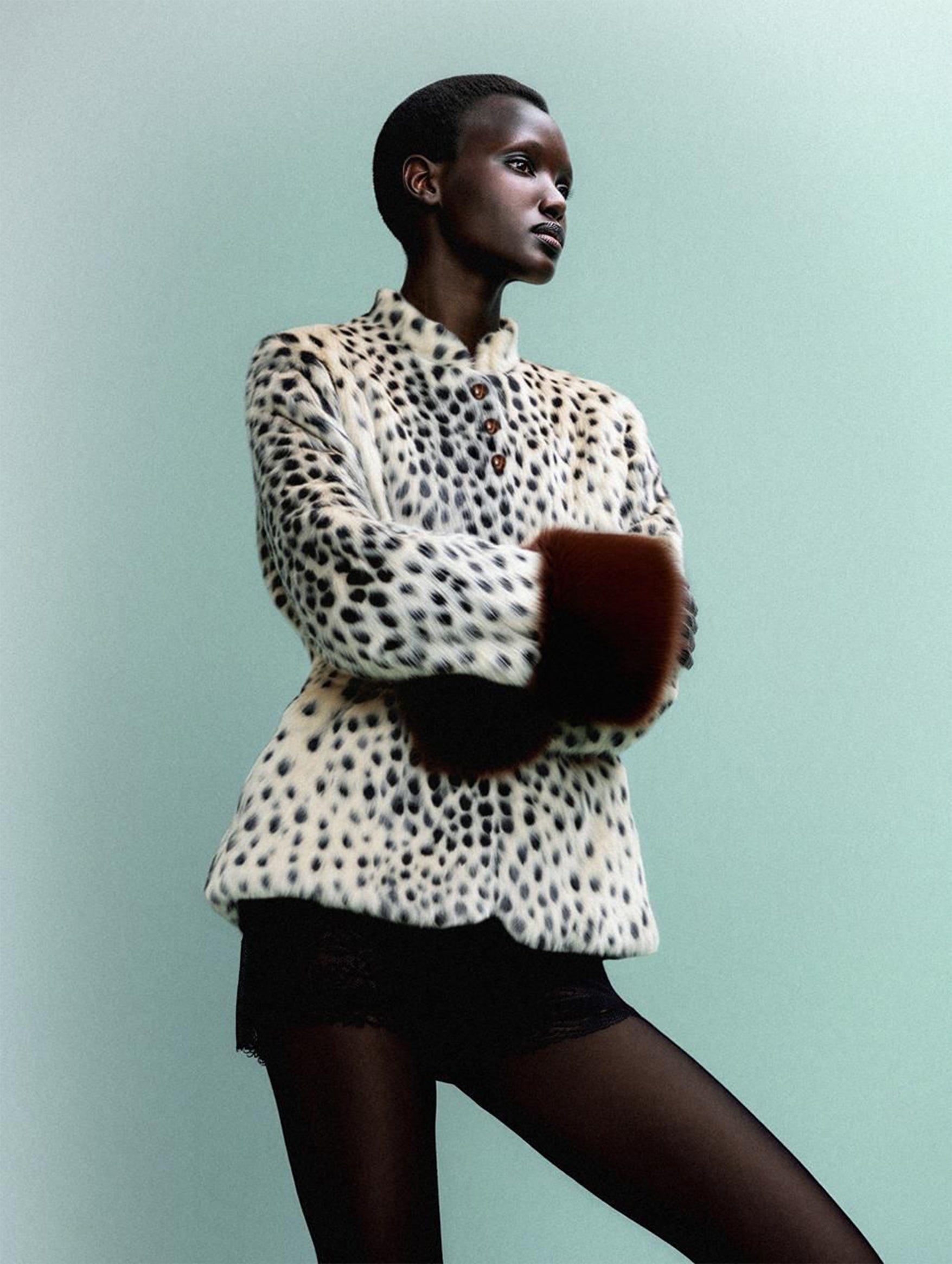 Dolly Jacket in Leopard