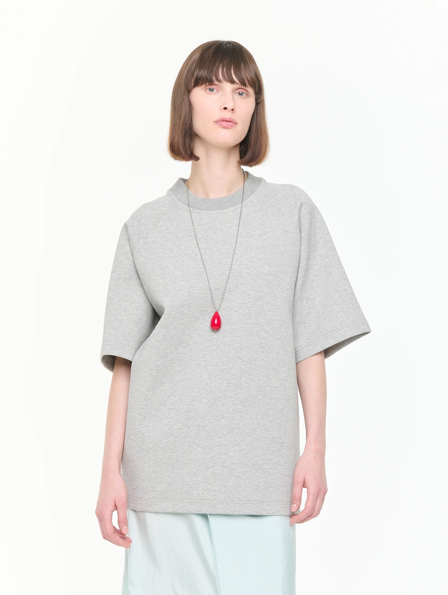 Short Sleeve Sweater in Grey