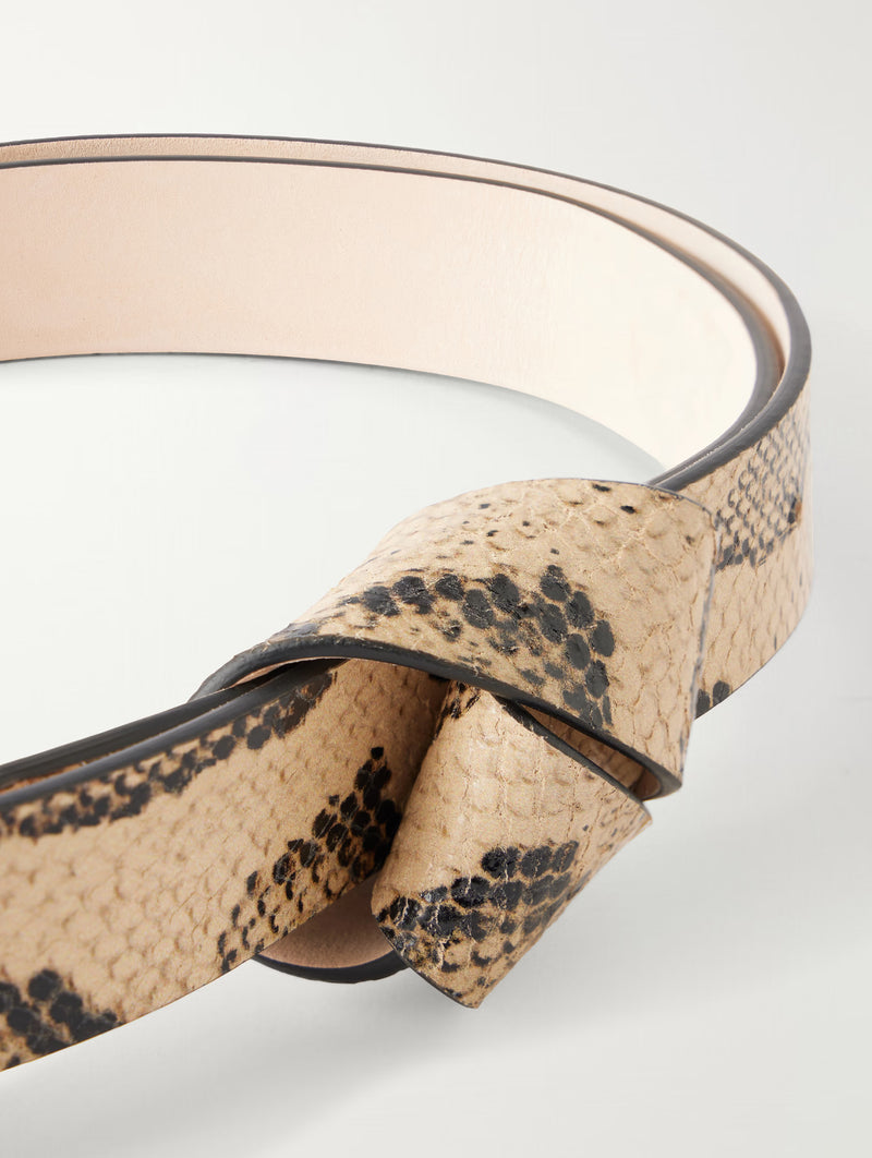 Lassio Belt in Sahara
