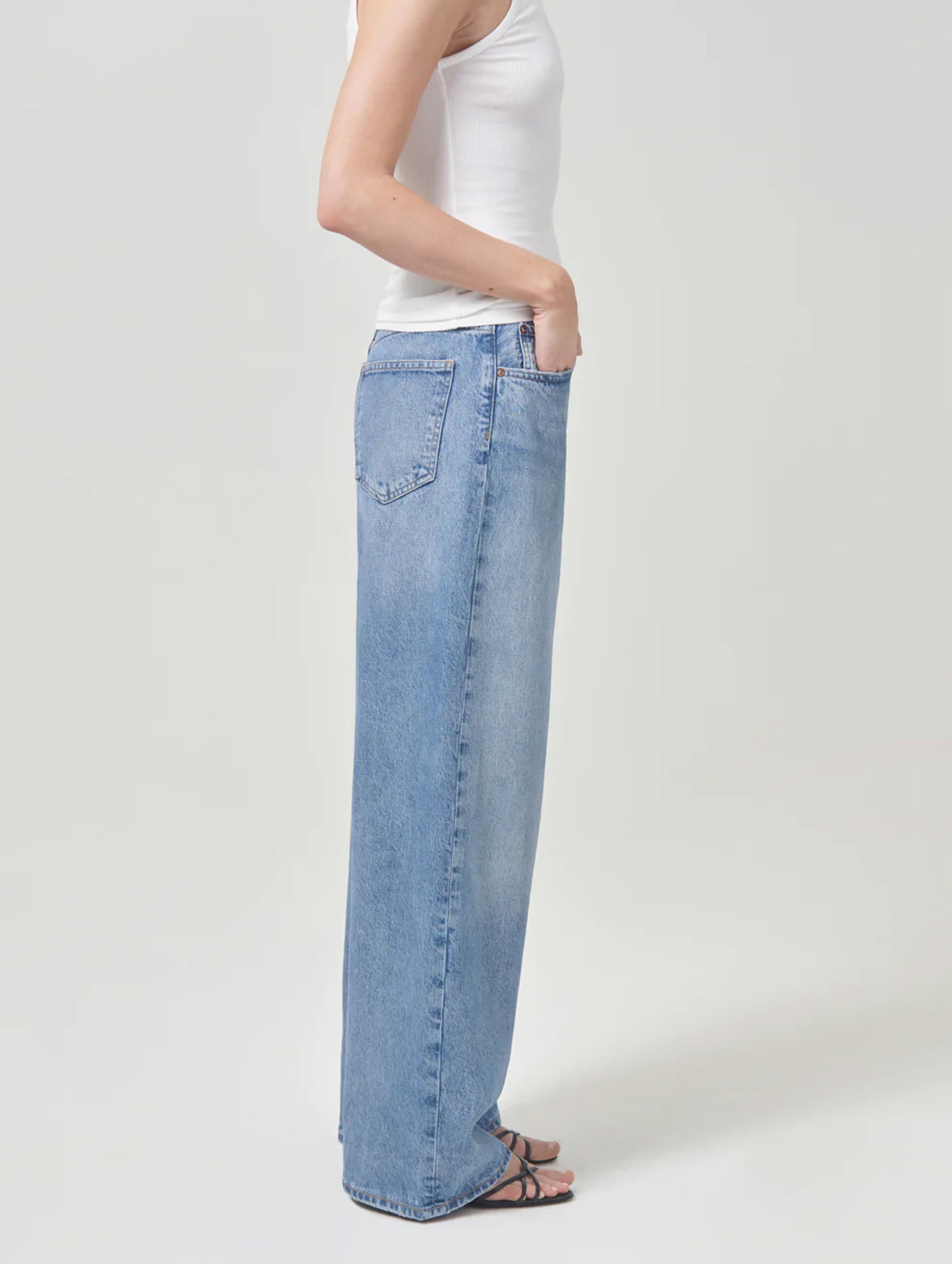 Low Slung Baggy Jean in Libertine