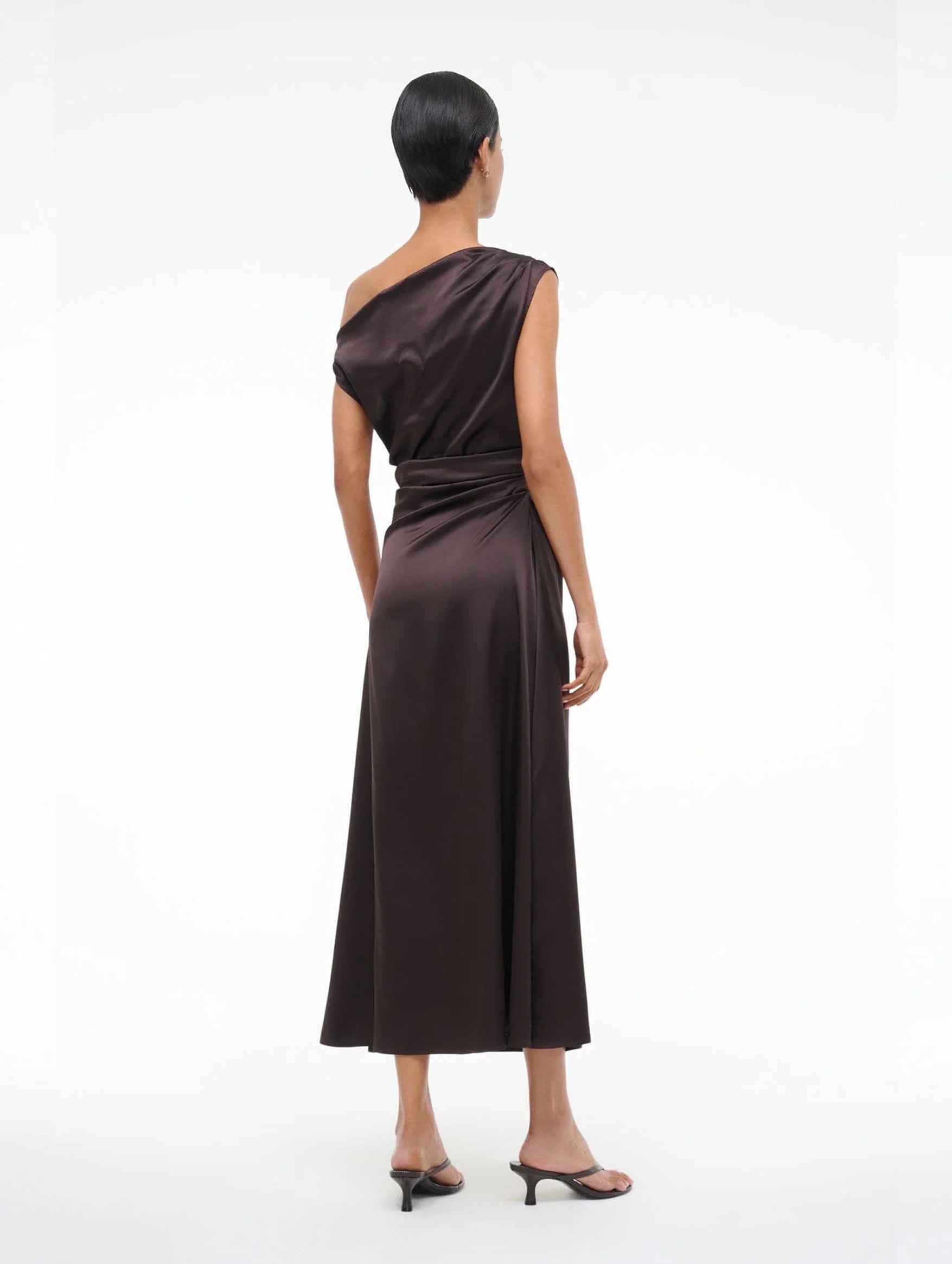 Phare Silk Dress in Earth
