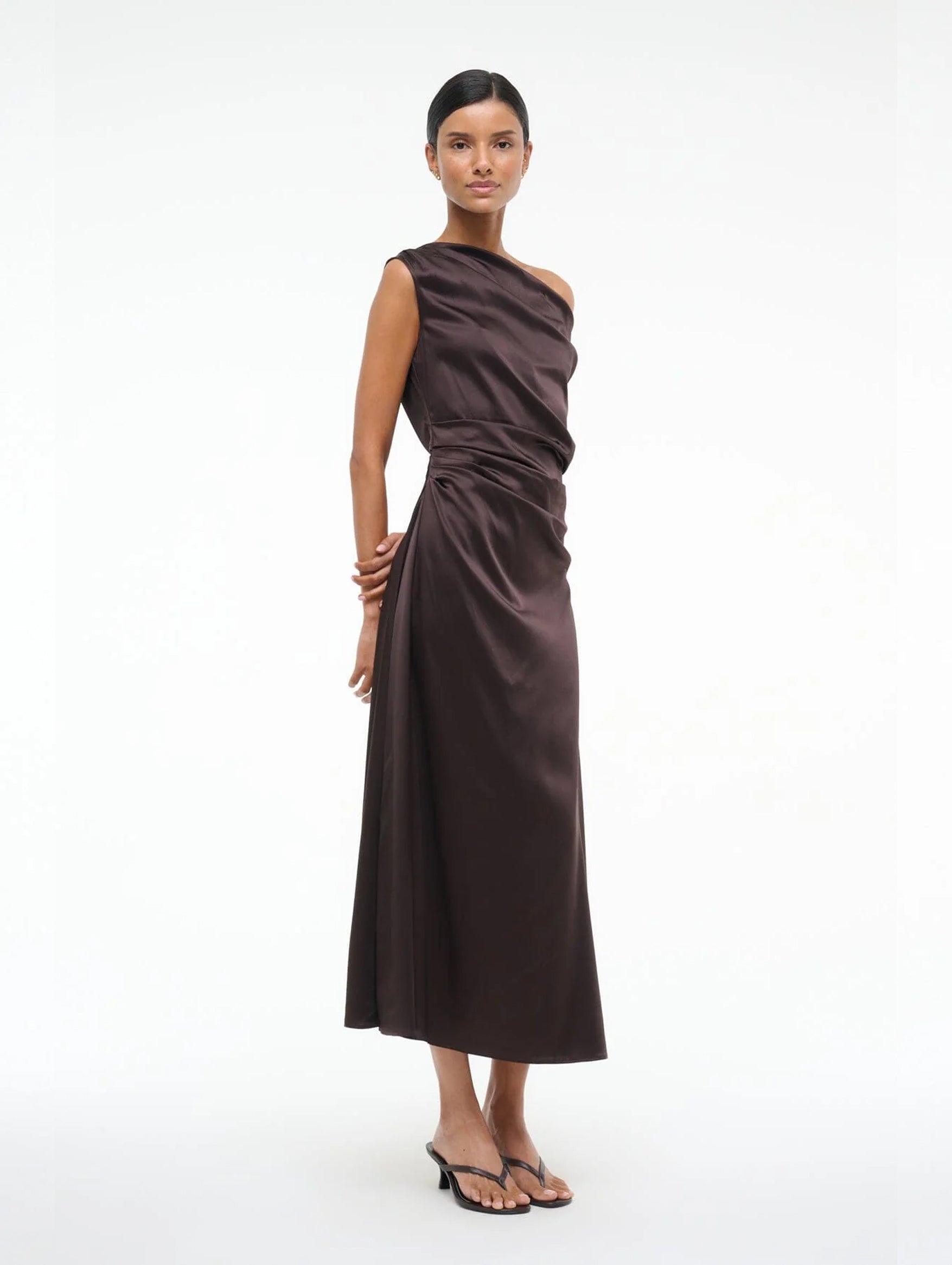 Phare Silk Dress in Earth