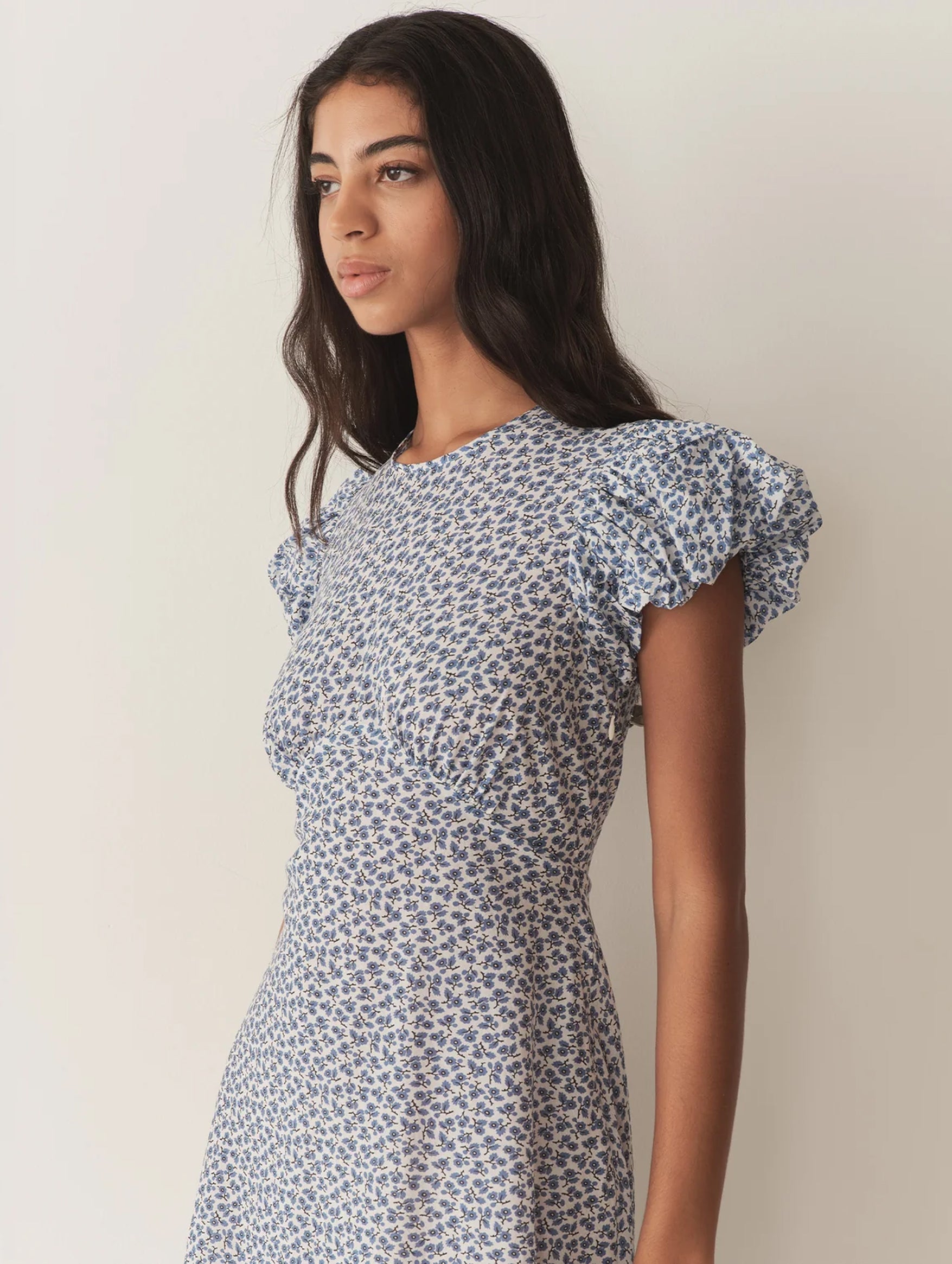 Romina Dress in Cornflower Hillside Bloom