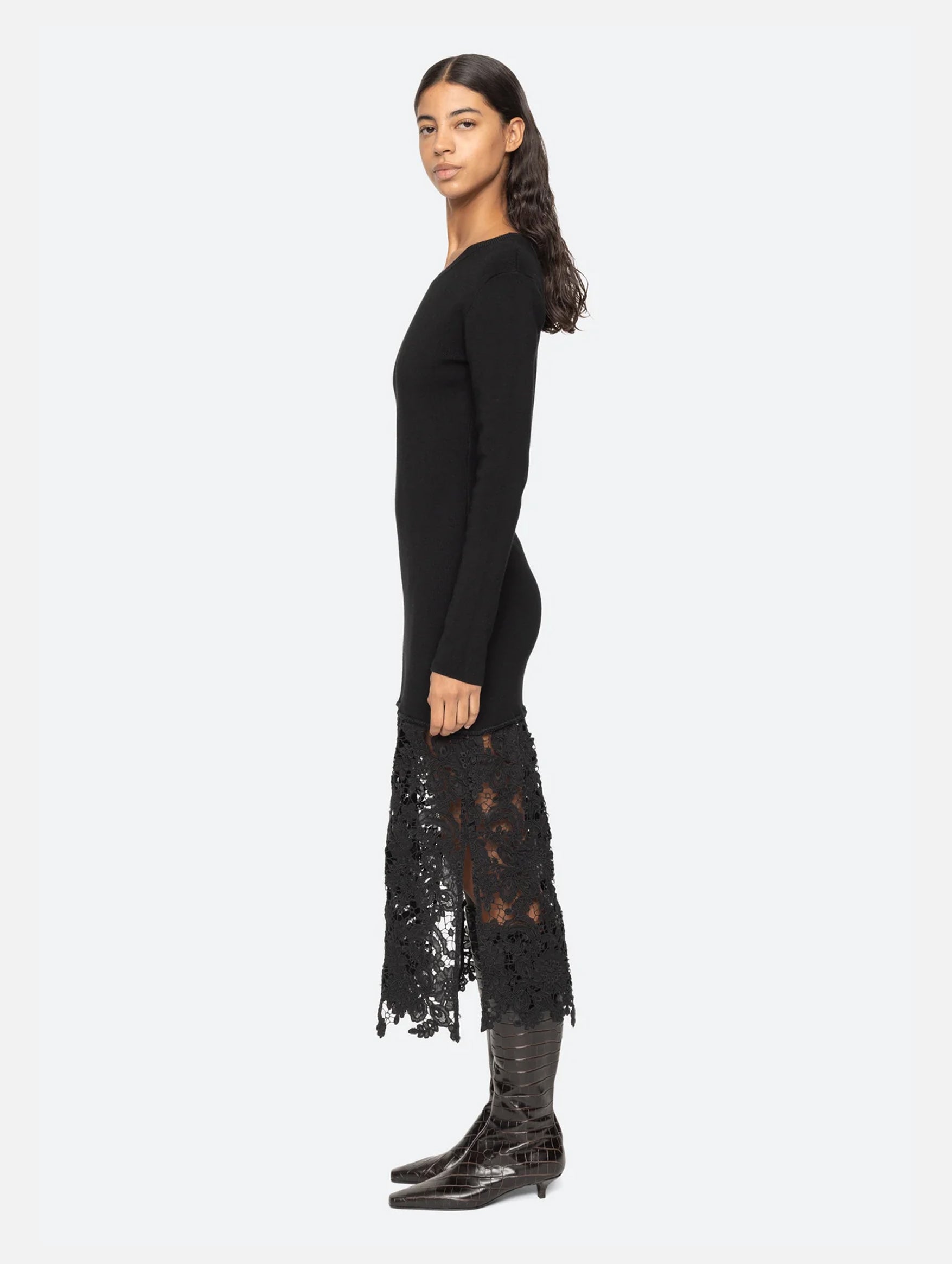 Sabine Embroidered Lace Dress in Black