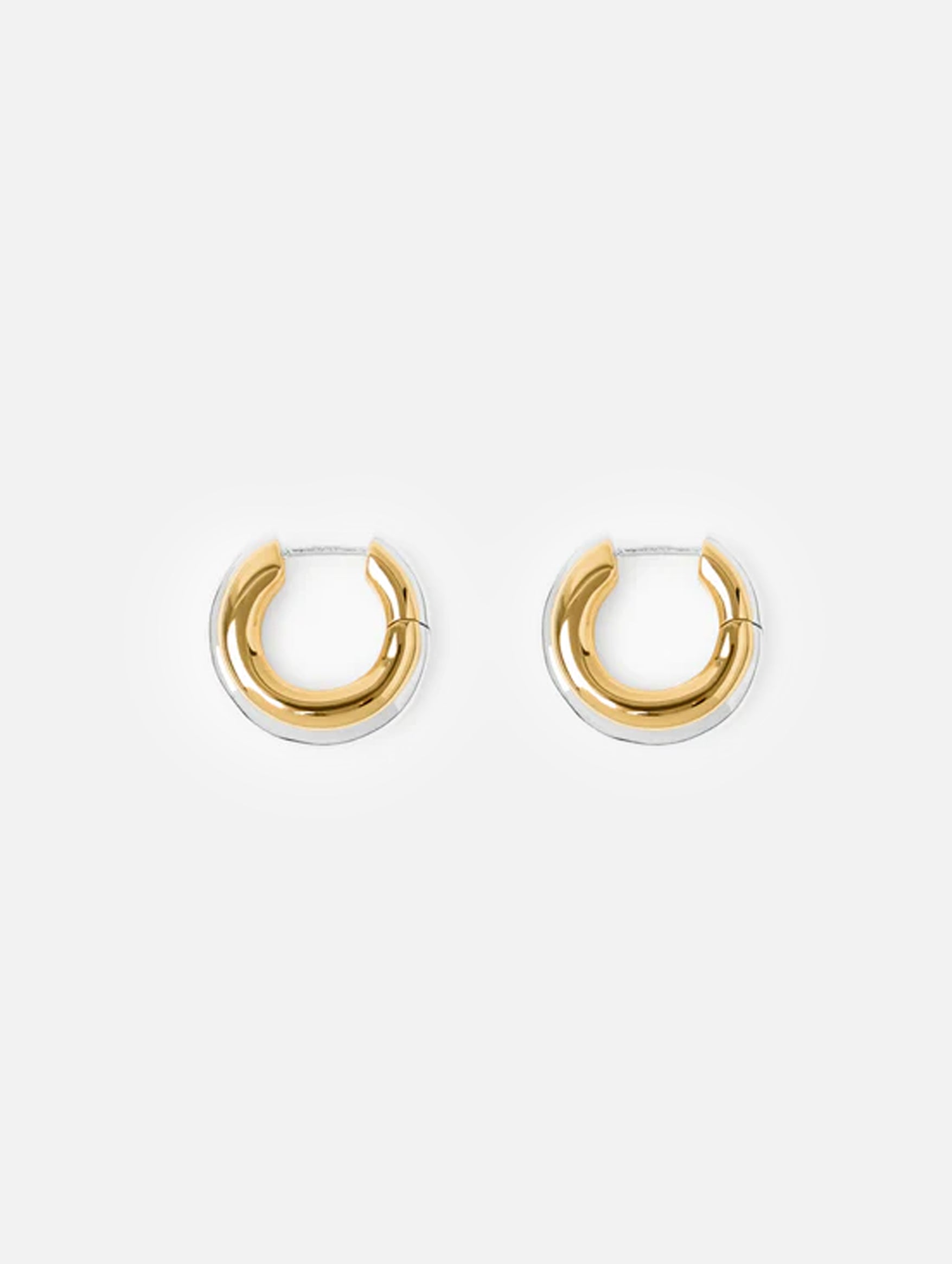 The Elenora Earrings in Gold