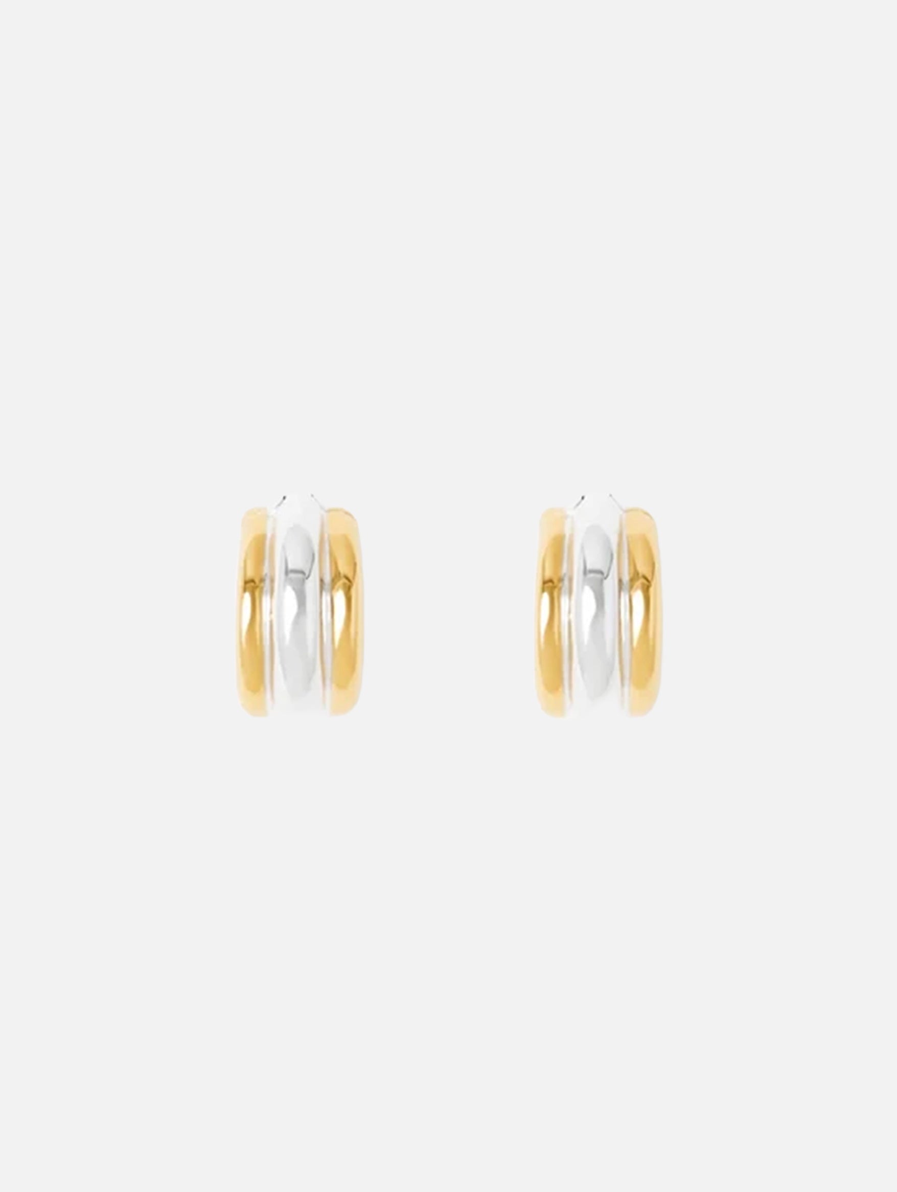 The Elenora Earrings in Gold