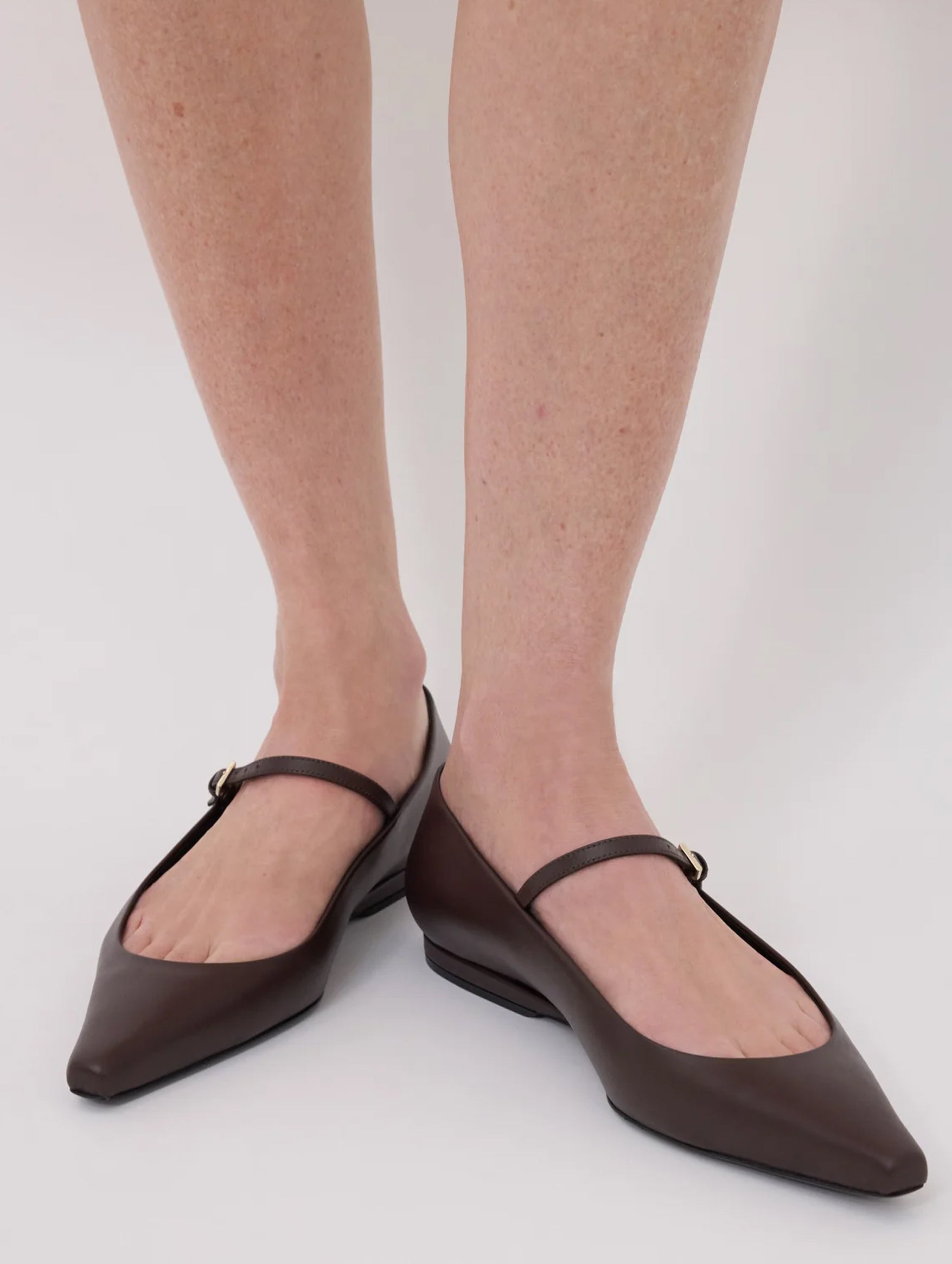 Alice Leather Ballerinas in Burgundy