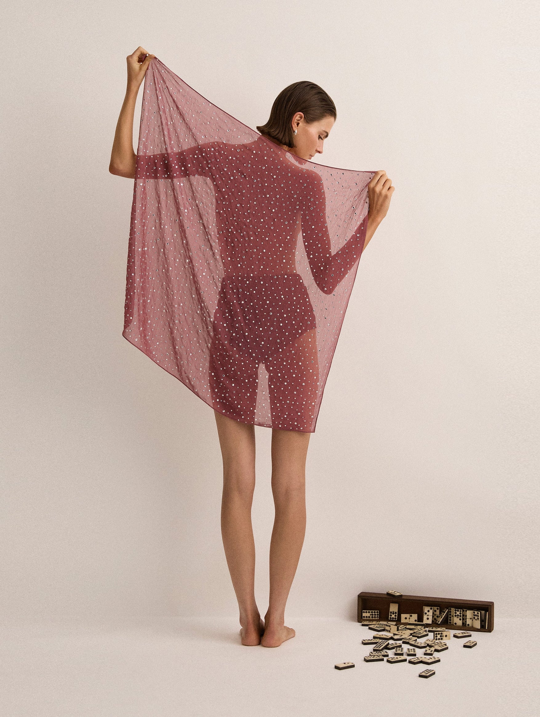 Crystal Embellished Scarf in Plum