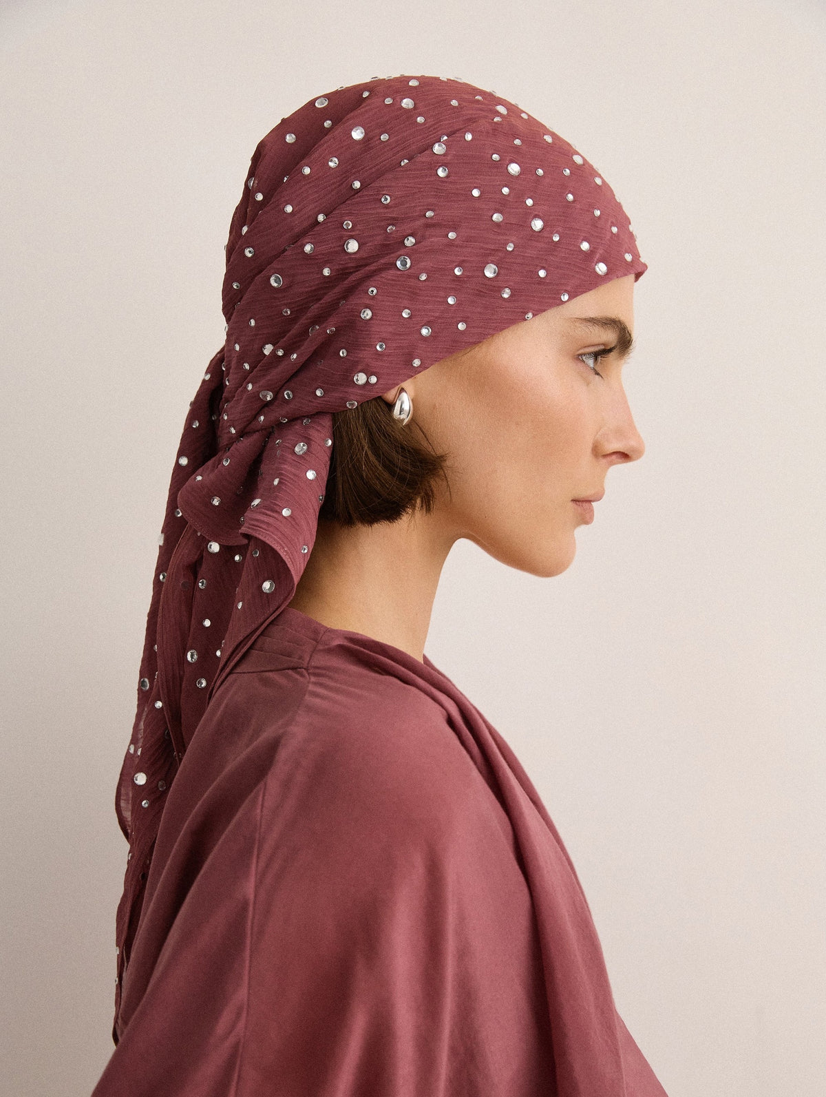 Crystal Embellished Scarf in Plum